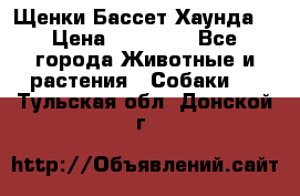 Щенки Бассет Хаунда  › Цена ­ 25 000 - Все города Животные и растения » Собаки   . Тульская обл.,Донской г.